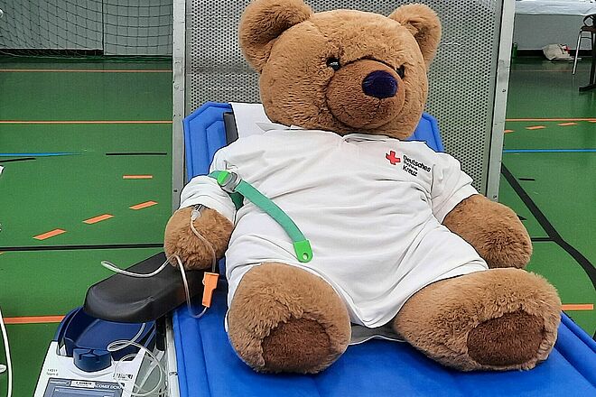 Unser Maskottchen Tom bereitet sich auf seine Blutspende vor